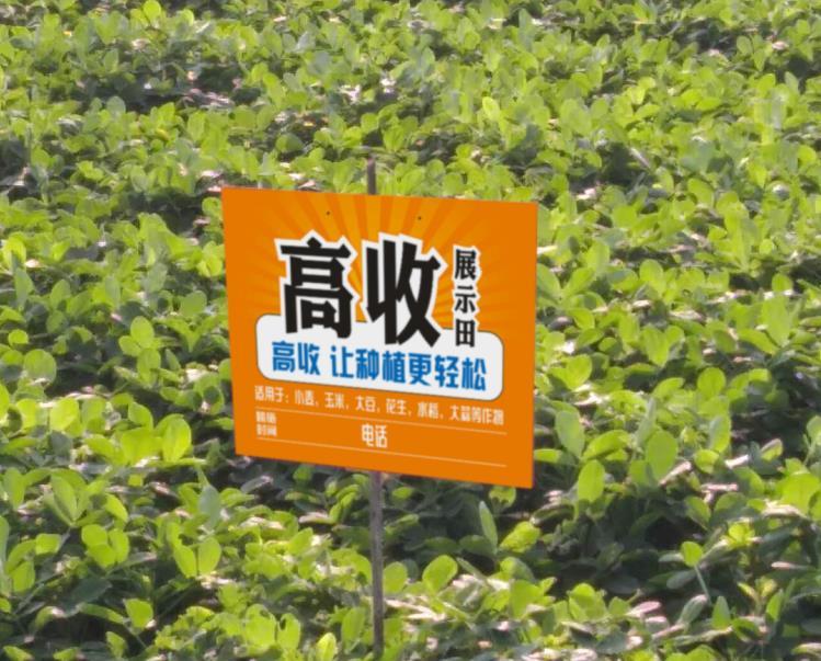 678app- 阿尔特塔轮换策略收奇效  